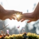 Two hands reaching for flower on moss